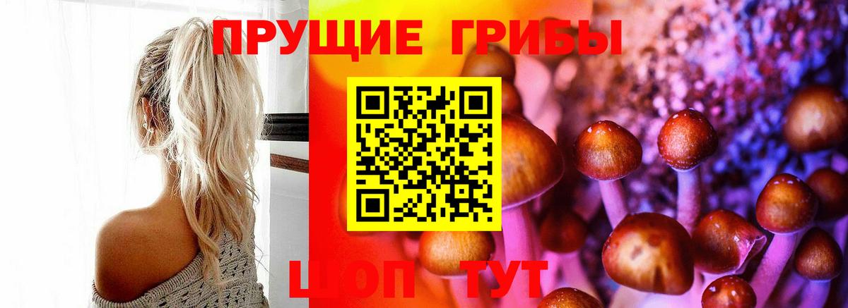 Псилоцибиновые грибы Psilocybe Реутов