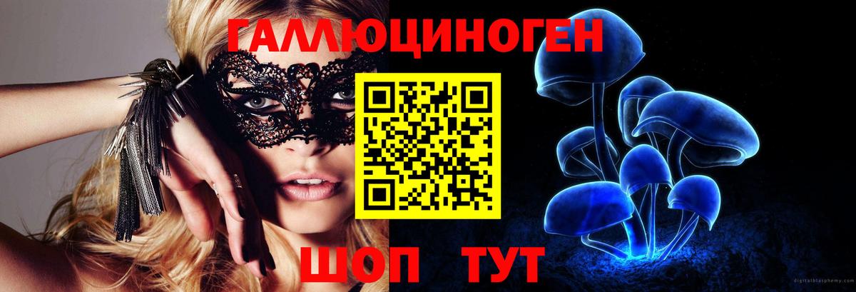 магазин продажи   Галлюциногенные грибы Psilocybe  Вход с VPN  Реутов 
